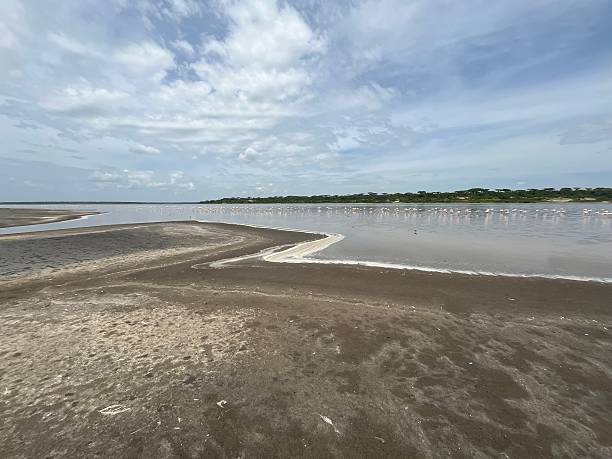 istock Tanzania - Ndutu- Lake with birds 2210238173