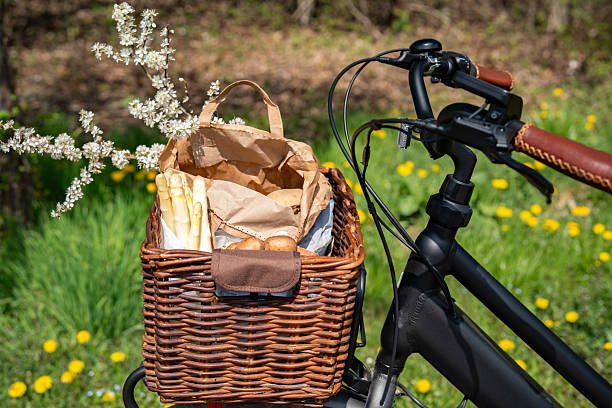 istock Fresh asparagus in a bicycle basket 2210241176