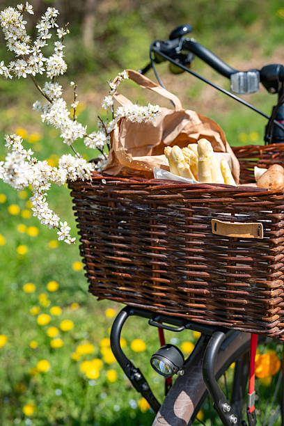 istock Fresh asparagus in a bicycle basket 2210241210
