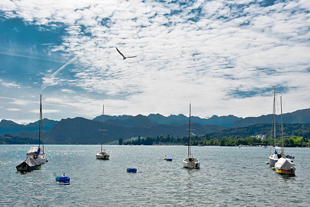Boats docked at a lake in Lucerne, Switzerland