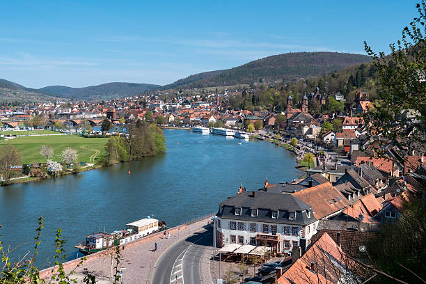 An elevated view of the medieval old town of Miltenberg, Bavaria, nestled along the Main River.