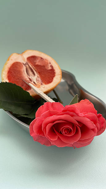 Romantic botanical arrangement with rose and grapefruit on pastel background