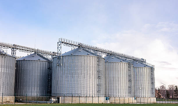 istock Plant for processing and silos for drying cleaning and storage of agricultural products, flour, cereals and grain. Silver tanks close-up. Silos in a barley field. Storage of the crop 2210246607