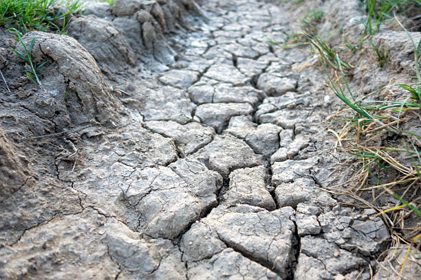Texture soil dry crack background pattern of drought lack of water of nature white black old broken.