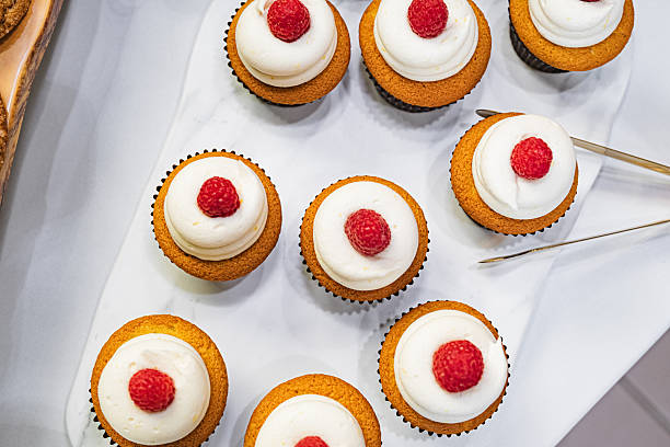 Elegant Raspberry Cupcakes with Whipped Frosting