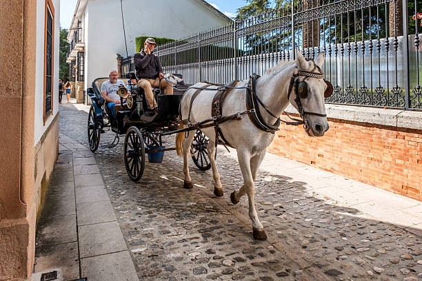 Ronda, Spain - November 11, 2024: Horse drawn carriage carrying tourists passing the bullring in the old town, Ronda, Malaga Province, Andalucia, Spain