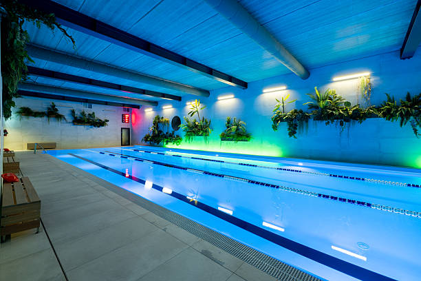 istock Modern Indoor Swimming Pool With Lush Decorative Plants and Ambient Lighting 2210258641