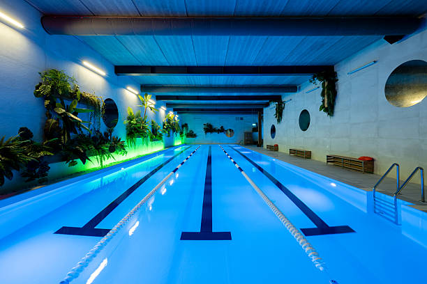 Modern Indoor Swimming Pool with Lush Greenery and Calm Ambiance