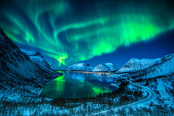 Waves of vivid green aurora sweep across a starry sky, dancing above a snow-covered fjord in the Arctic wilderness. Reflected in the still water below, the northern lights transform the cold night into a breathtaking spectacle of natural wonder.