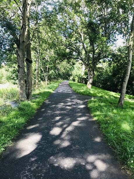 istock A straight path edged with leafy green trees which shadows the grass verge 2210260643