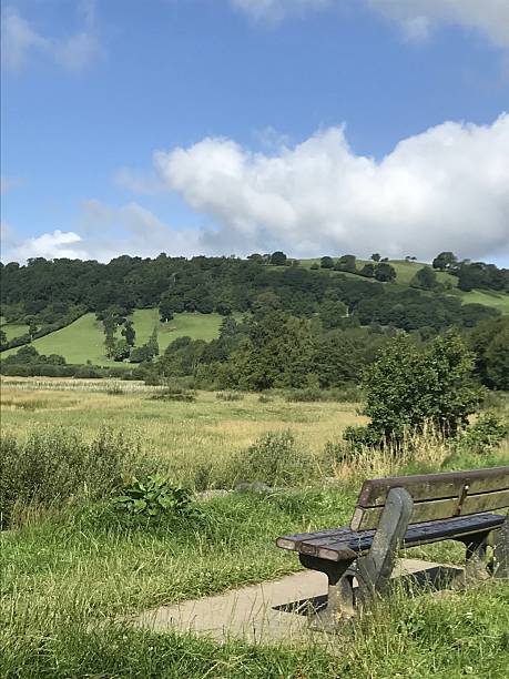 istock Hill side with green fields, trees and a wooden bench. 2210260674