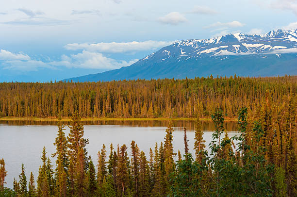 Alaska wilderness with snowcapped mountain range around Valdez, USA