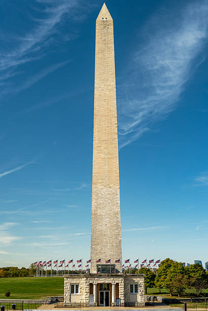 Washington Monument Framed by Autumn Trees on the National Mall