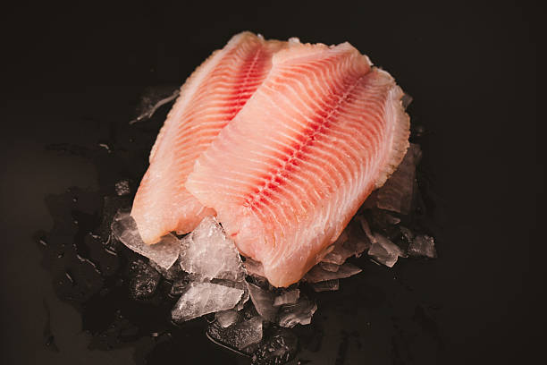 istock Fresh tilapia fillet on ice on black background 2210269797