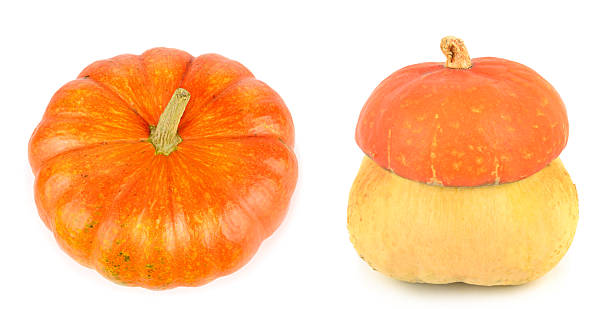 istock Pumpkins isolated on a white background. 2210270488