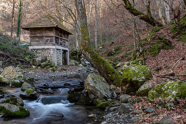 A view of an abandoned mystical mill that, according to legend, was the home of the Serbian vampire Sava Savanovic next to the Rogacica River in Zarozje, Serbia.