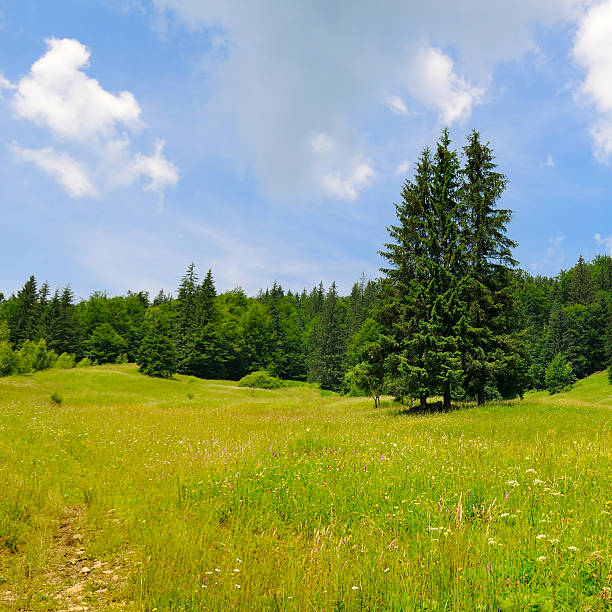 Beautiful Austrian countryside european landscape on a beautiful day