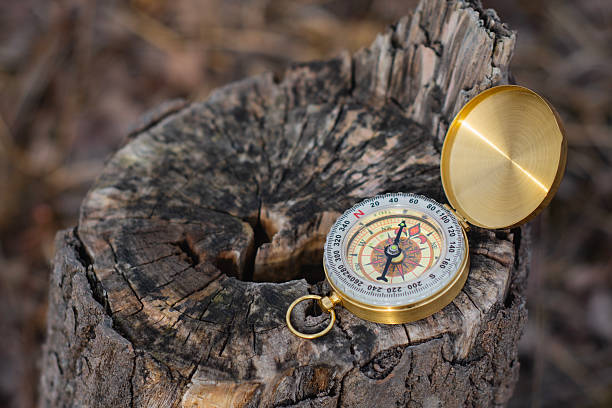 istock A gold compass is placed on a tree stump, showcasing a navigation tool and outdoor adventure. 2210276778