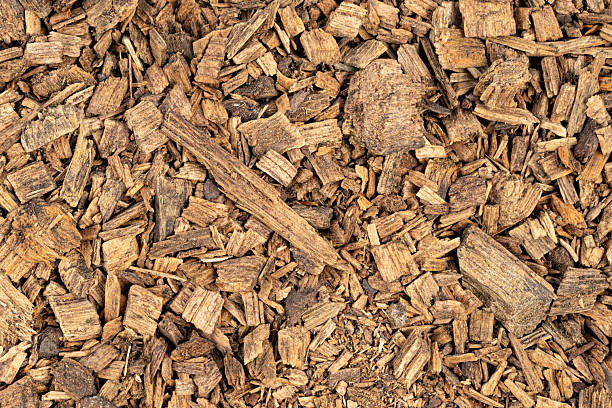 istock Texture of canary pine (Pinus canariensis) wood chips as background 2210278662