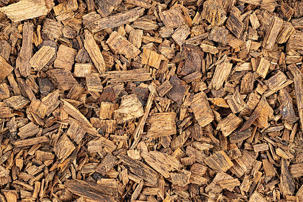 istock Texture of canary pine (Pinus canariensis) wood chips as background 2210278678