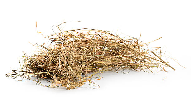 istock Heap of dried hay 2210282180