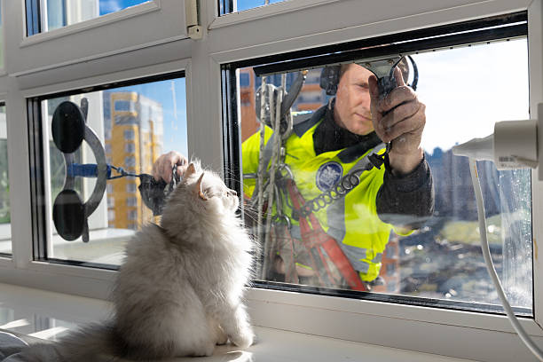 istock Curious Cat Observes Window Cleaner Hard at Work Outside a High-Rise Building with Clear Blue Skies and Modern Architecture Providing a Stunning Urban Backdrop 2210291551