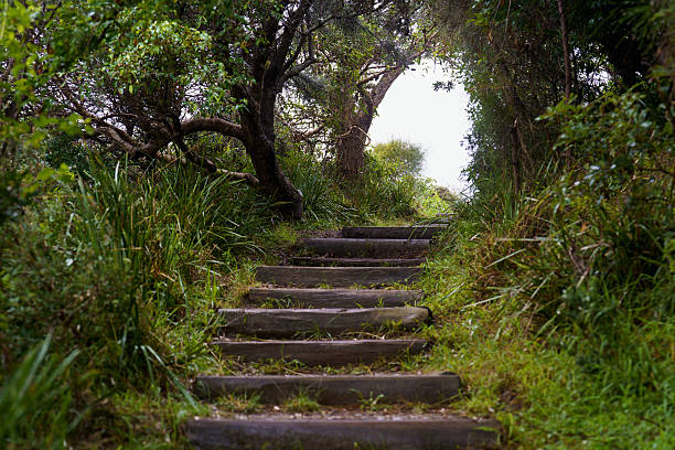 A wooden path that goes through a bush up to the hill, NSW, Australia