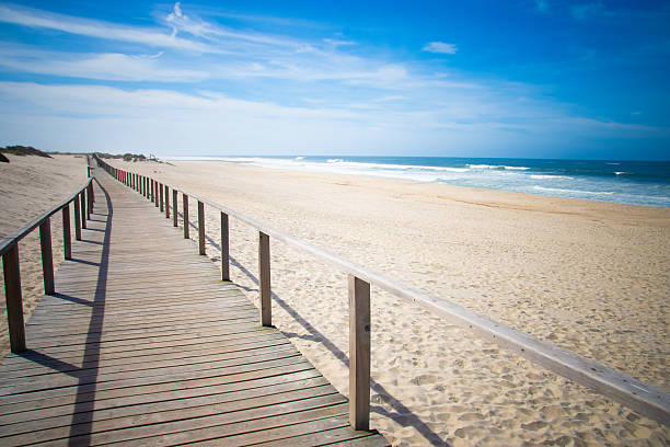 istock Long wooden boardwalk on sandy beach with blue sky and sea. 2210298545