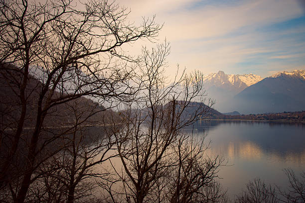 A calm view of Lake Como framed by bare trees and mountains, reflecting soft winter light.