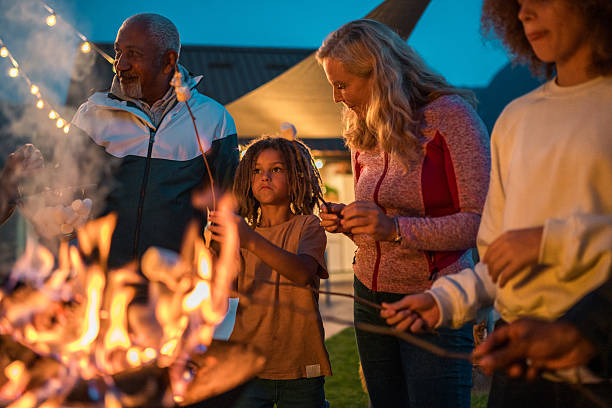 istock Outdoor Family Gathering with Toasting Marshmallows 2210313357