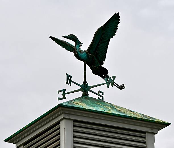 Weather-vane of pelican on cupola, cloudy