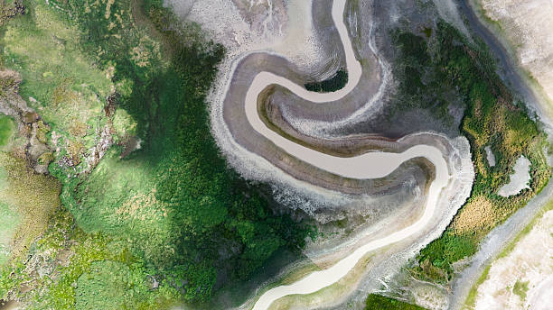 istock The meandering river flows through the green wetland 2210316802