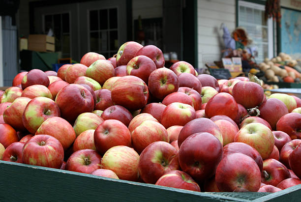 Bin full of apples at the farmstand