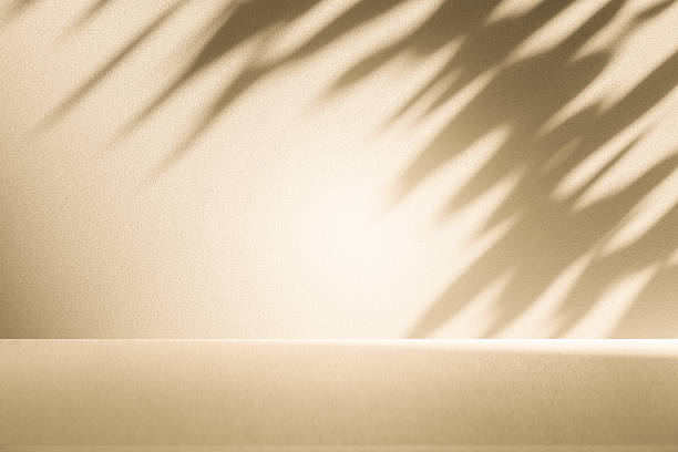 istock Studio style background wall decoration presentation uses white and beige tones. with shadows cast from a nearby window, concept creating a decorative 2210324256