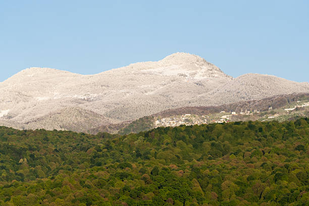 Spring, awakening of nature, last snowflakes