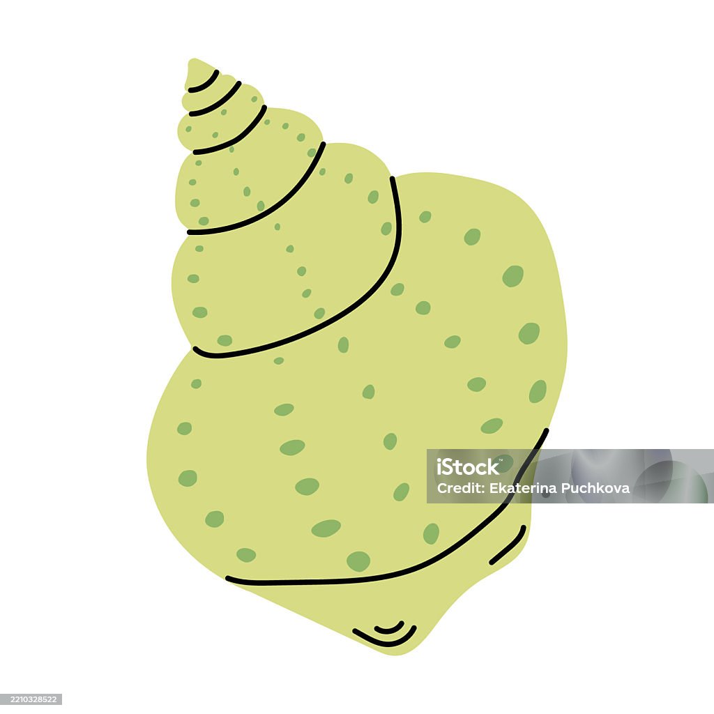 Sea Shell Green Color Isolated Green Seashell With Spots And Spiral Pattern Stands Vertically ...