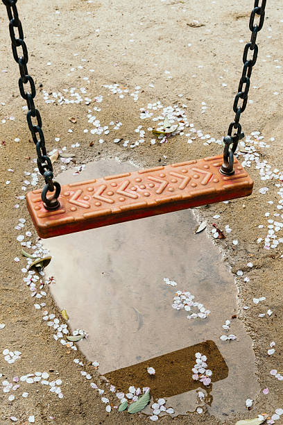 Swings, puddles, cherry blossom petals