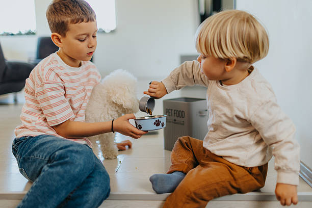 istock Cute little brother feeding their pet at home 2210330933