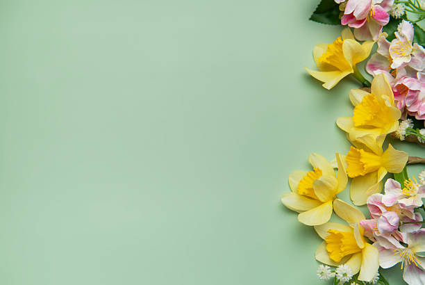istock Daffodils and pink flowers creating a vibrant spring border on pastel green background 2210332125