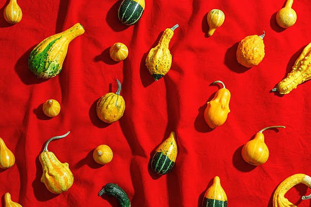 istock Pumpkins pattern, decorative diverse pumpkin, squash, patisson on red cloth background top view. Autumn, fall, halloween holiday concept. Minimal autumnal flat lay with sunlight shadows. 2210342619