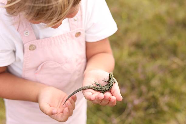 istock Little girl holding small lizard outdoors, closeup. Space for text 2210343078