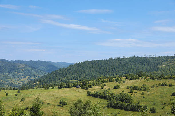 istock Beautiful view of forest in mountains under blue sky 2210343243