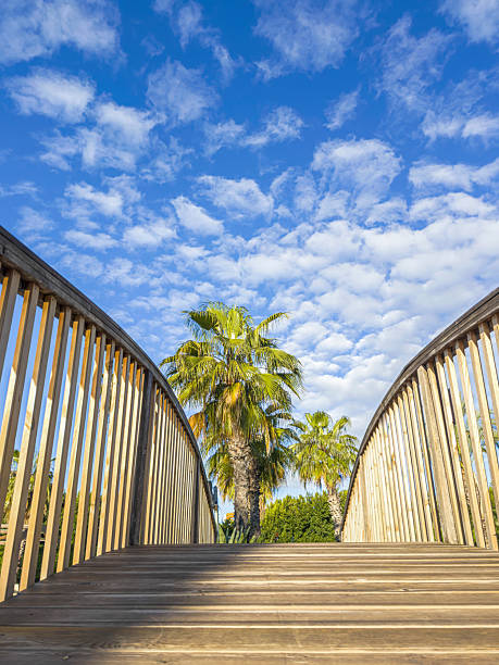 Bridge on swimming pool at tropical holiday resort