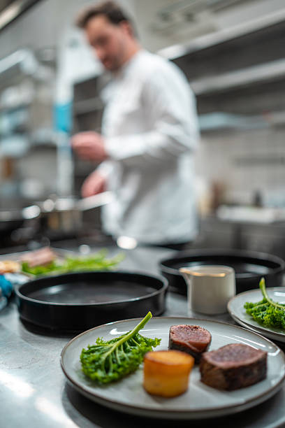 Elegant Plated Gourmet Dish with Chef in Modern Professional Kitchen