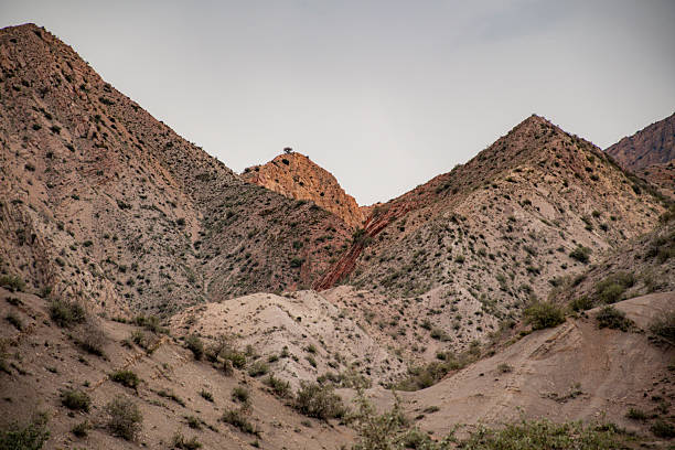 istock Beautiful canyon hiking in the spring 2210349118