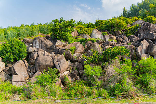 istock Rocks overgrown with vegetation. 2210350388