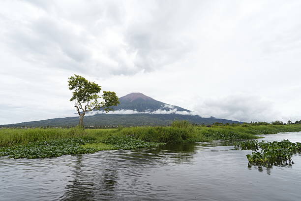 A solitary tree stands on the edge of a lush green wetland, with the majestic Mount Kerinci rising in the background under a cloudy sky. Captured in the highlands of Jambi, Sumatra, this image evokes a sense of peace, isolation, and the raw beauty of Indonesia’s natural landscapes The scene is calm and serene, with reflections on the still water and thick vegetation all around.
