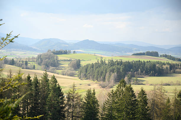 istock Scenic Mountain Landscape with Evergreen Forest and Rolling Hills in Spring 2210356115