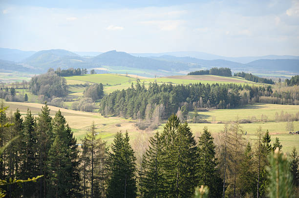 istock Mountain Landscape with Spruce Forest and Rolling Green Hills in Spring Light 2210356118