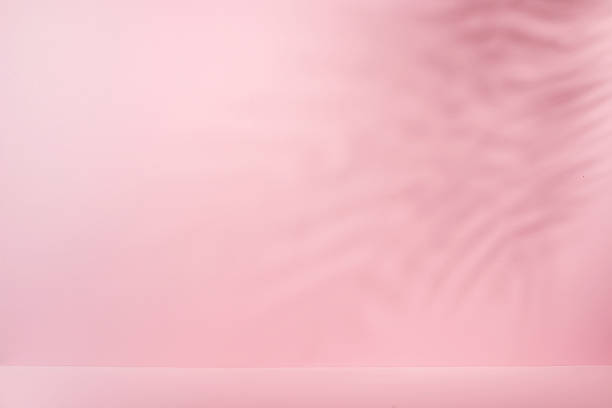 istock Soft sunlight filters through tree leaves, casting gentle shadows and creating an abstract pattern on a white background 2210356434